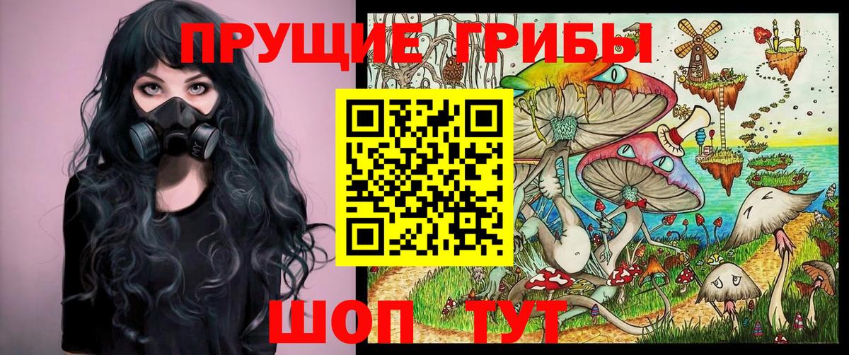 Галлюциногенные грибы MAGIC MUSHROOMS  Вход с VPN  Заинск  Псилоцибиновые грибы мухоморы 