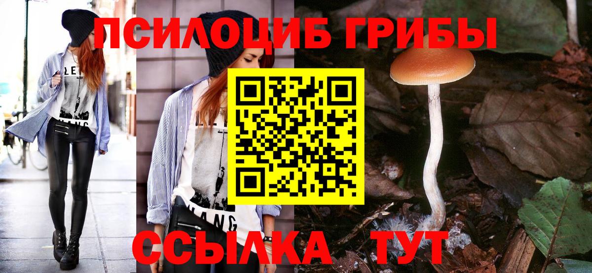 Псилоцибиновые грибы мицелий Заинск